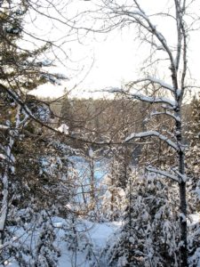 winter photograph, 2016, John Huisman, ely minneosta