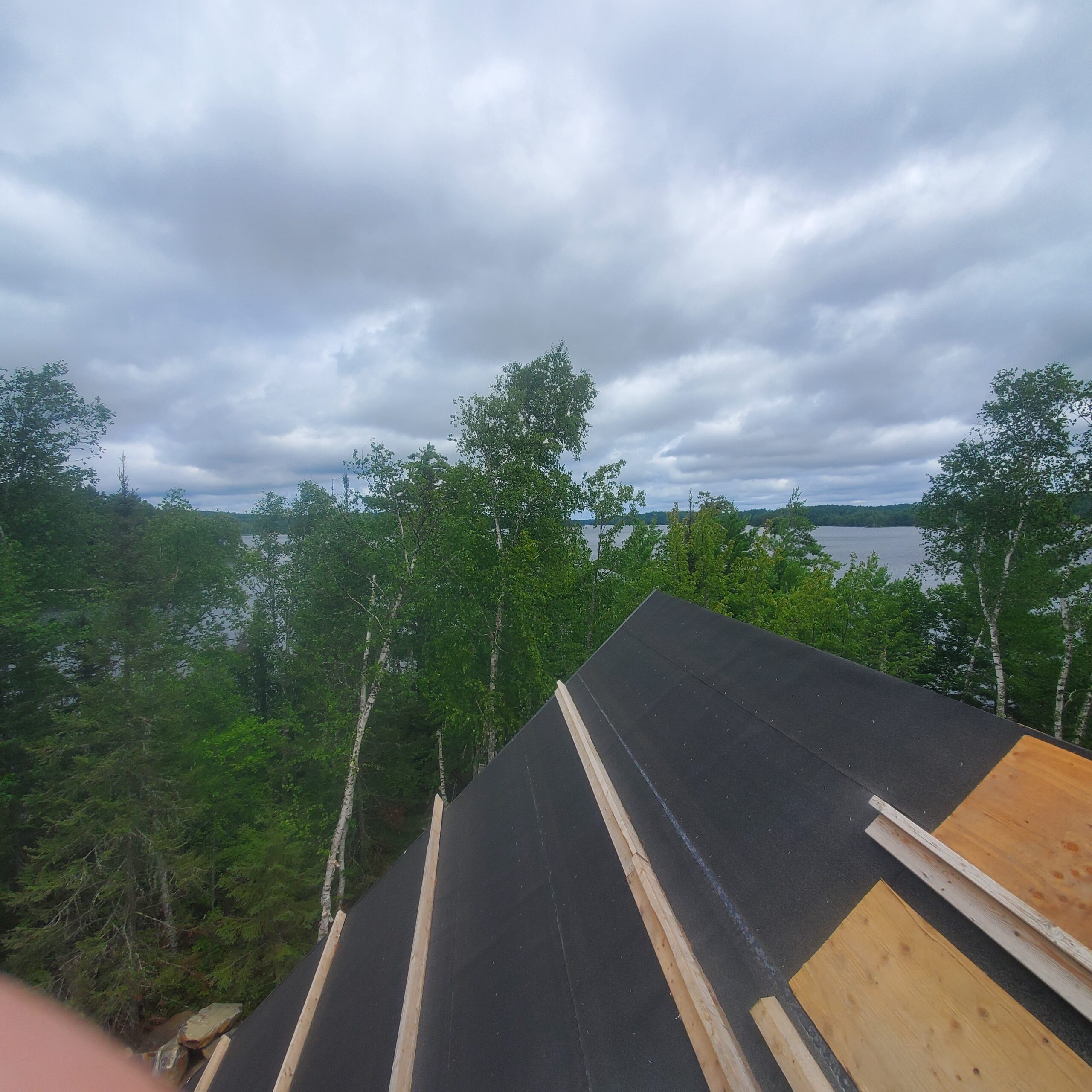 View from the roof View of the lake from the roof